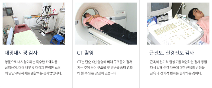 대체 텍스트를 제공합니다